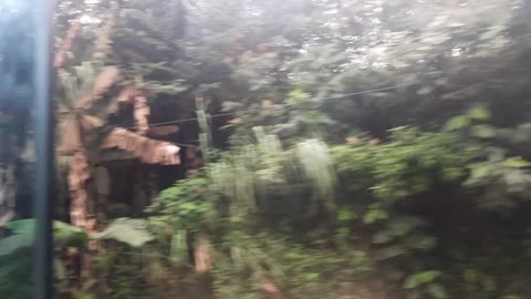 Viral Menikmati Pemandangan sepanjang Perjalanan Puncak Cianjur