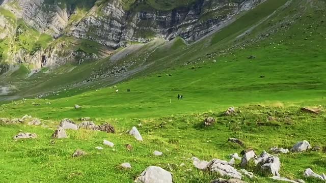 Nature’s beauty.. 📍Säntis🇨🇭