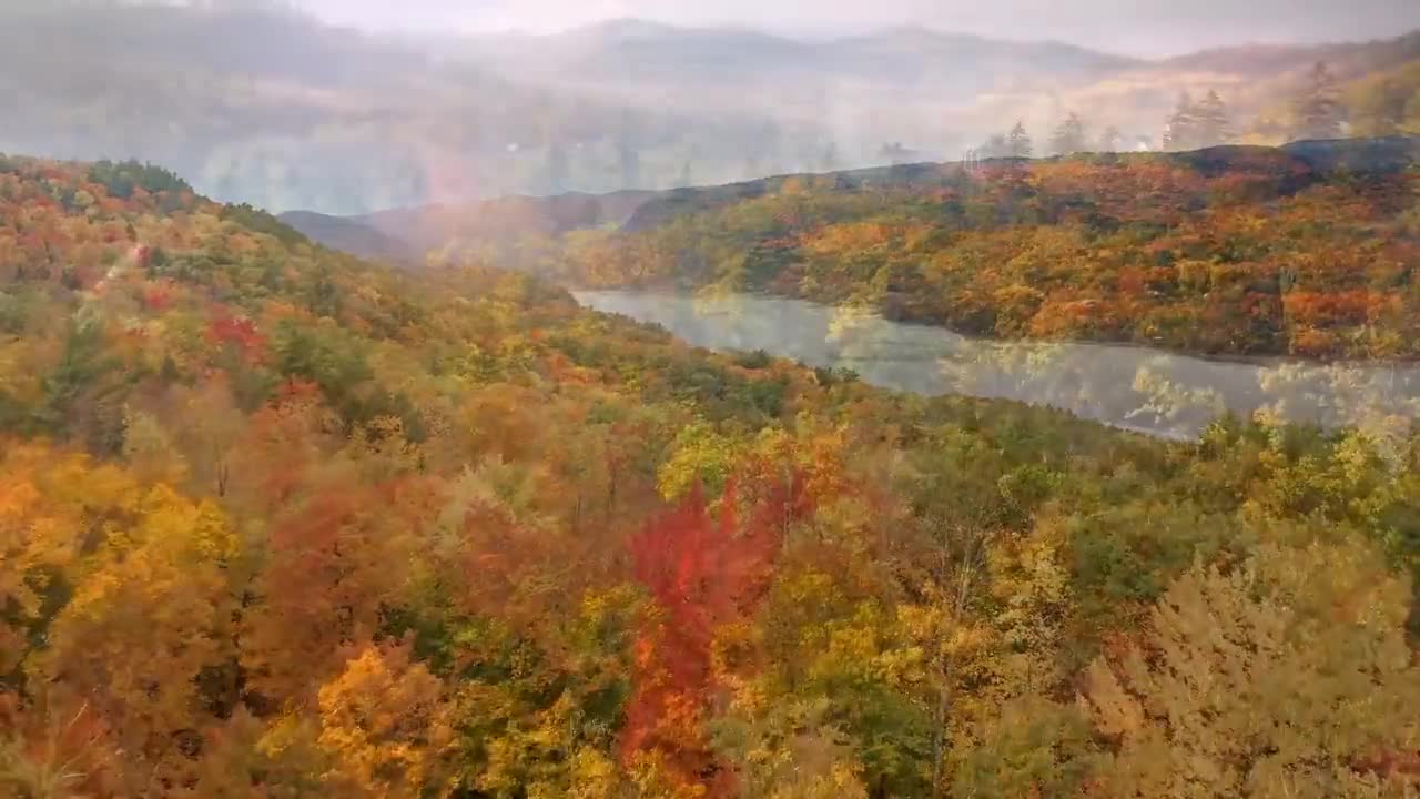 Enchanting Autumn Forests with Beautiful Piano Music