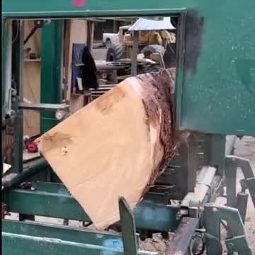 500 guitar tops from a single tree