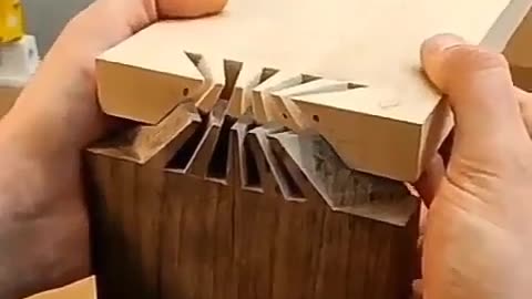 CRC vídeos curiosos