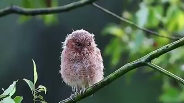 Time with God - August 12