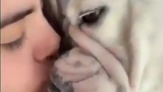🤣Best cats and dogs funny videos (try not to laugh)🤣😅😂