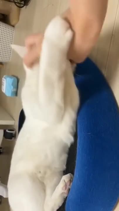 funny video short clips 😂😂🤣🤣🤣