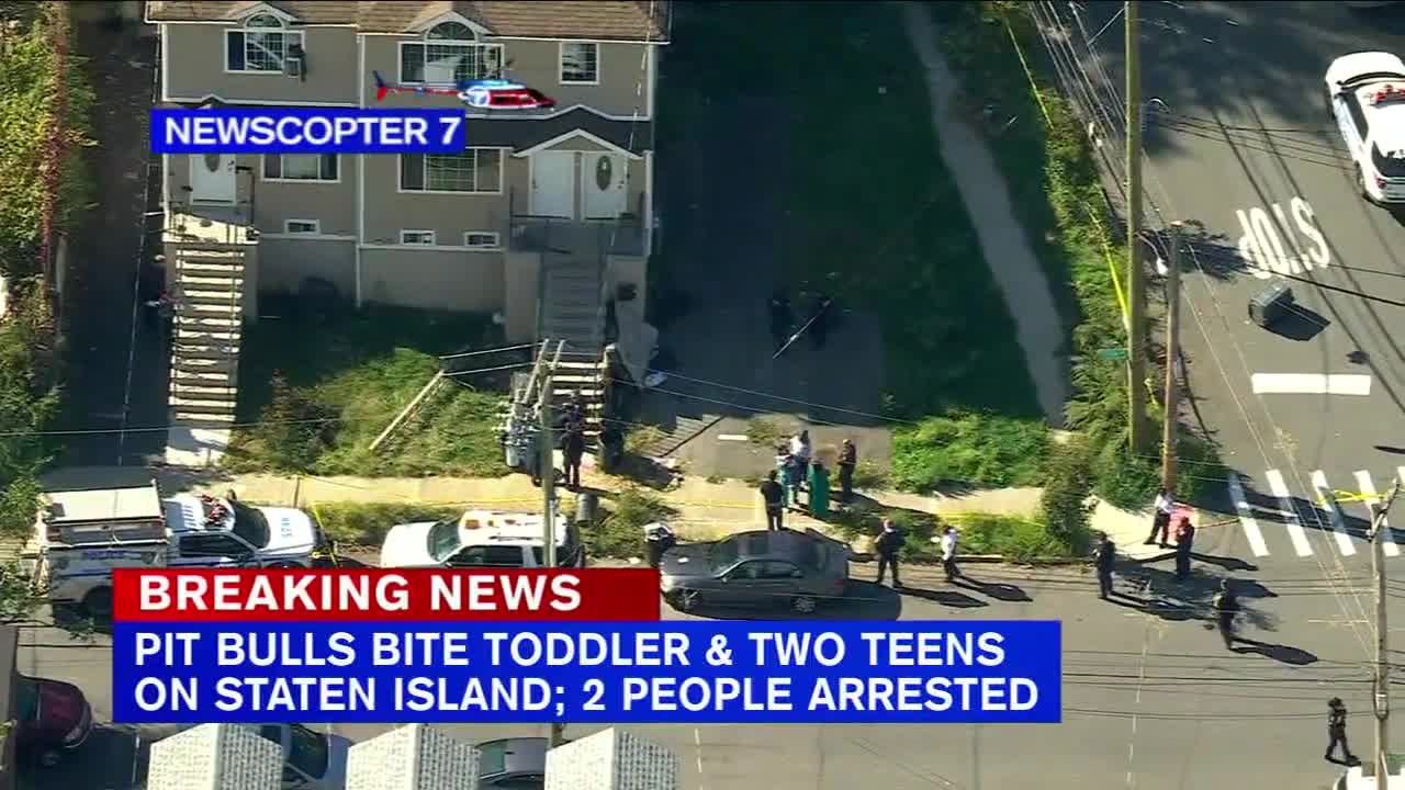 2 teens, toddler attacked by pit bulls on Staten Island