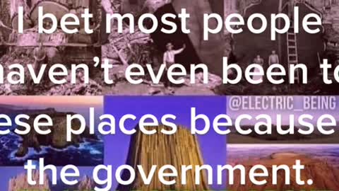 Trees that were gigantic