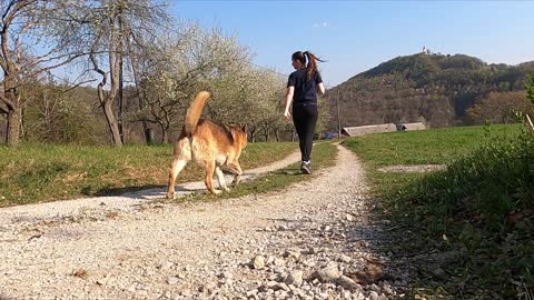 A Woman is Walking with Dog #