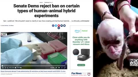 Hybrids?