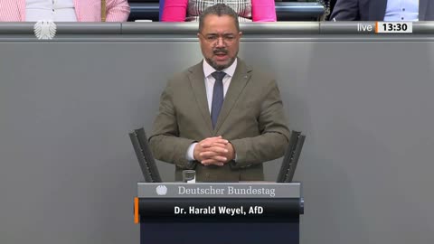 Prof. Dr. Harald Weyel Rede vom 19.01.2024 – Eigenmittel für die EU