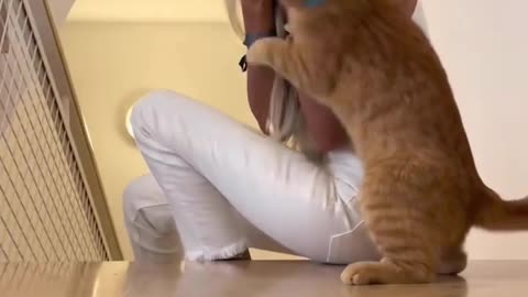 Best Friends🥹😍 Love cats? Like & Share