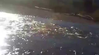 HOW TO MEDITATE - Oct 26th 2010