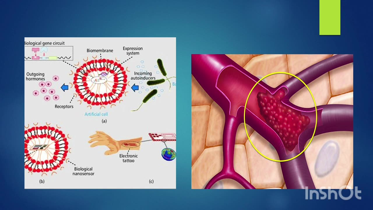 The Internet of Bio Nano Things | Bio Nano Technology INTRO