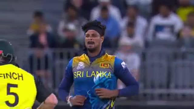 AUS vs SL Cricket Match