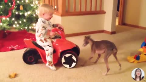 Christmas Baby Funny Fails Compilation