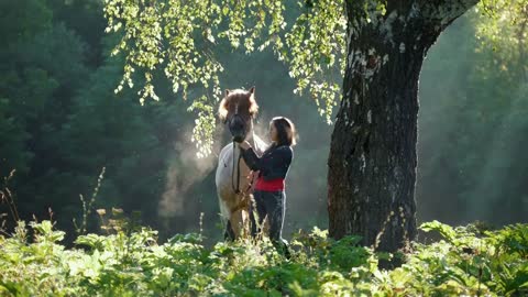 Rider straightens the headband of a horse in the woods early in the morning