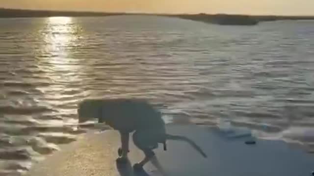 How to ruin a romantic yacht trip.