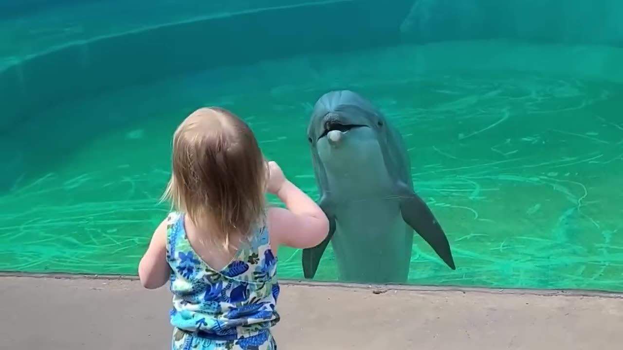 Cute baby girl with dolfin