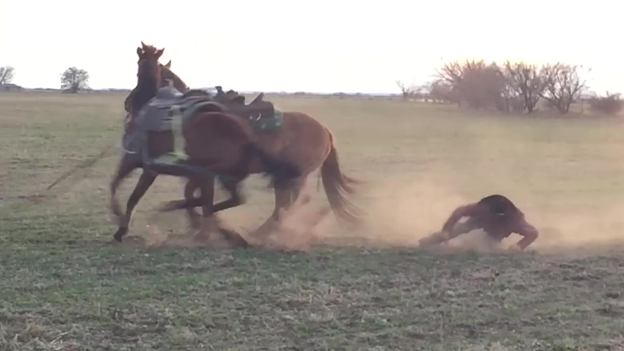 Mike And Jerry Take A Tumble