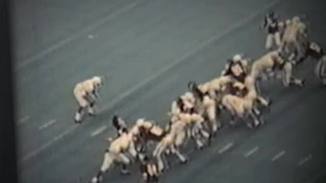 1971 TEXAS VS texas am