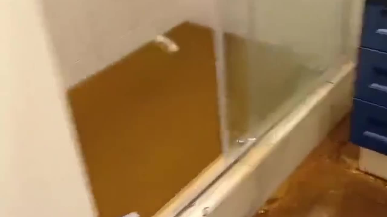 I Saw A Bathroom Worse Than This in Turkey