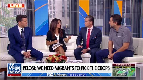 Nancy Pelosi says migrants could ‘pick the crops’ in Florida