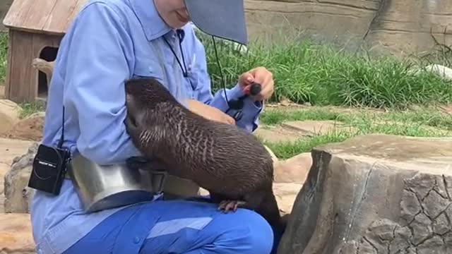 What are you doing baby # Otter