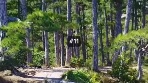 Motivational Video #54
