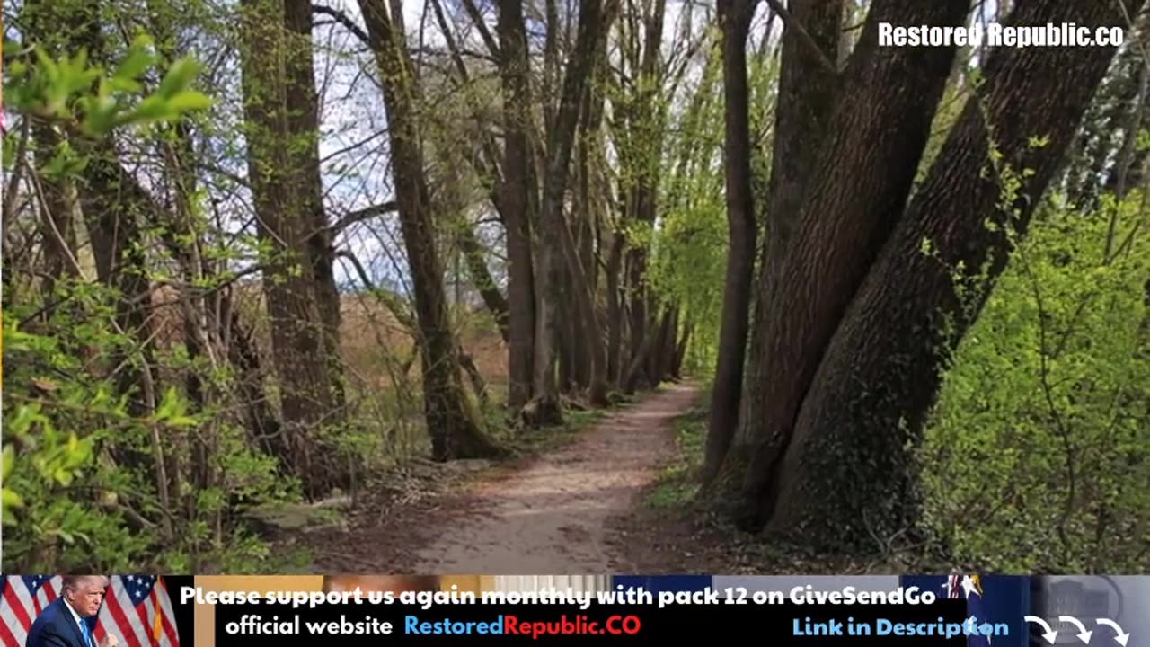 Restored Republic via a GCR: Update as of June 17, 2024