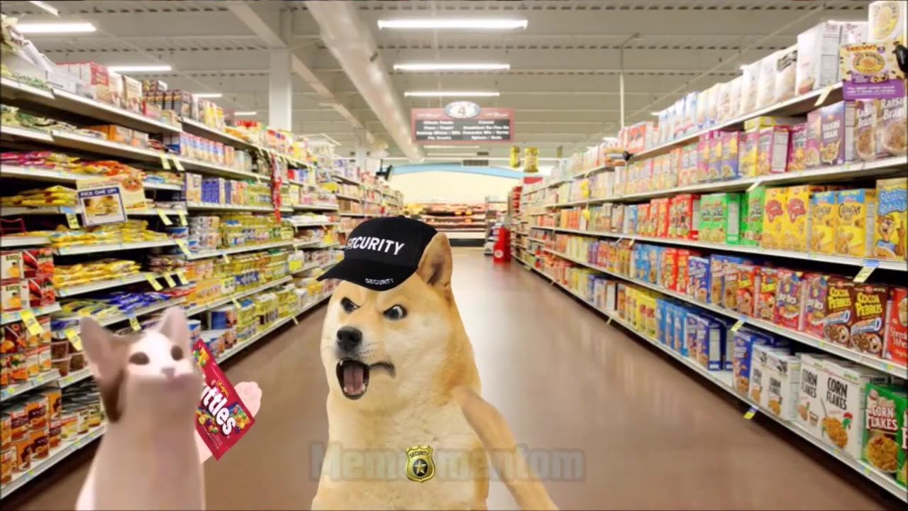 Skittles Meme Pop cat vs Doge faster Meme Mentom