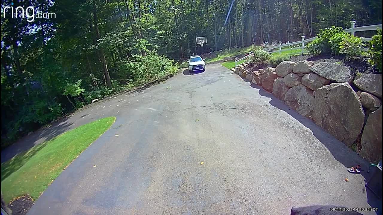 Black Bear Takes Trash From Garage