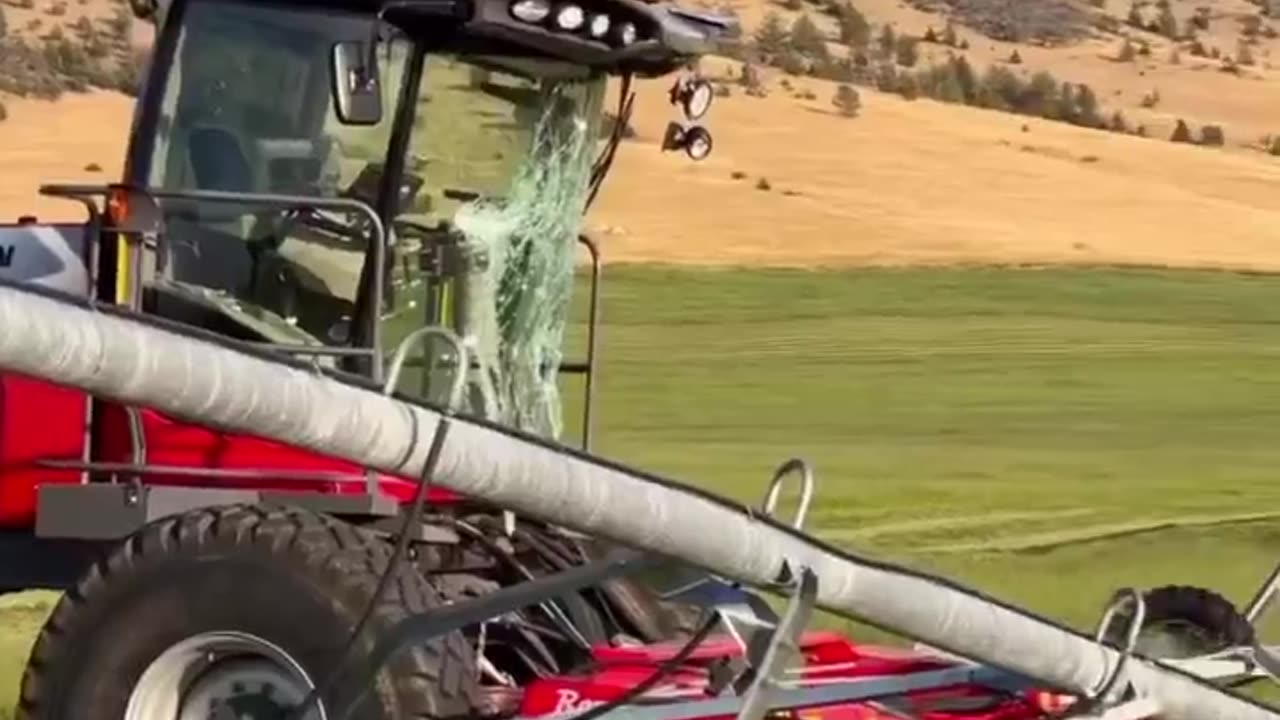 CRC vídeos curiosos