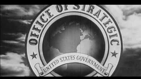 Walt Disney.... info