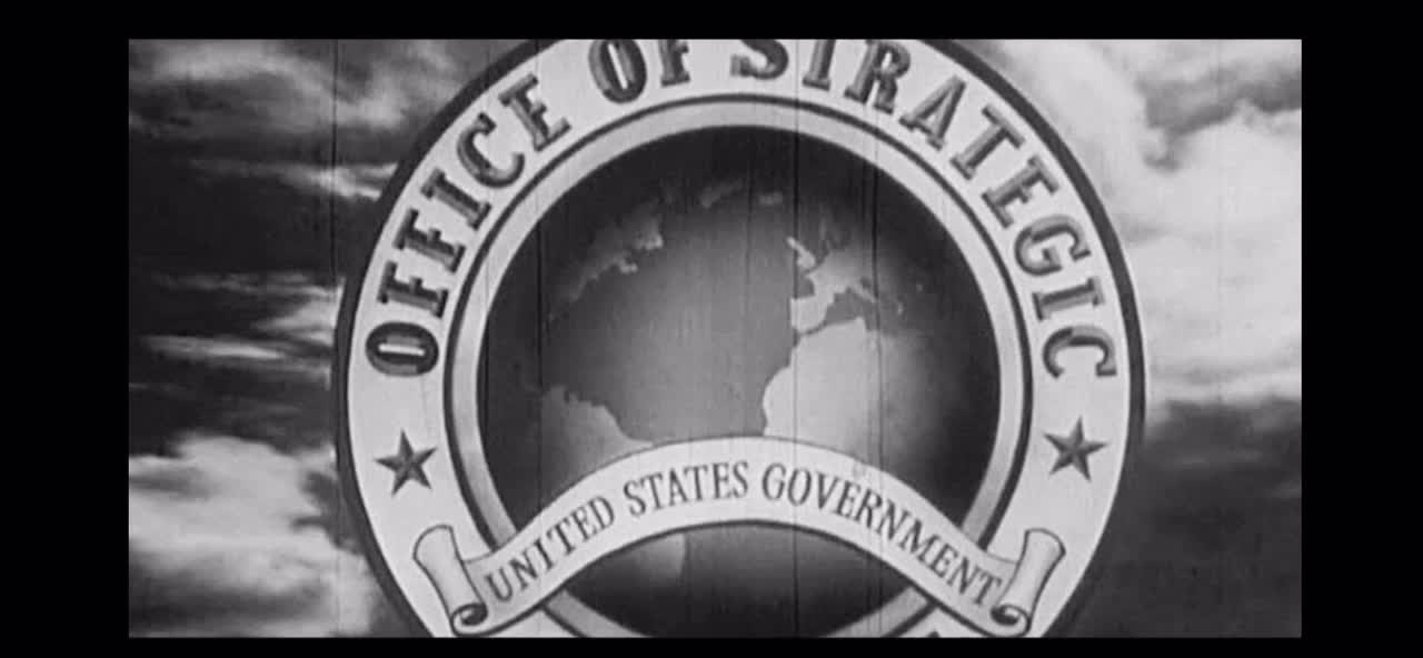 Walt Disney.... info