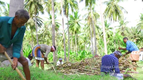 SUGARCANE JUICE _ Making Farm Fresh Healthy Juice in Village _ Natural Juice _ Summer Health Drinks