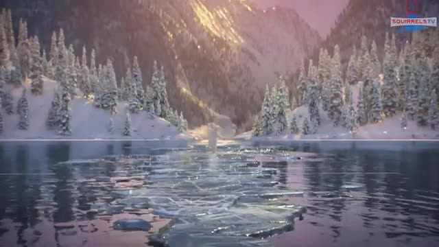 Bear and Squirrell Dancing on Ice