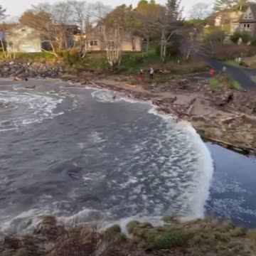 1/16/22 Neskowin, Oregon this morning!