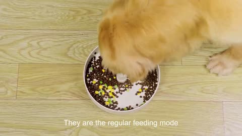 PUZZLE FEEDER A Eating Habit Changing Device for Your Dog by PUZZLE FEEDER — Kickstarter