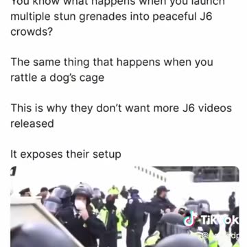 Jan 6th Stun Genades started the violence