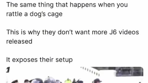 Jan 6th Stun Genades started the violence