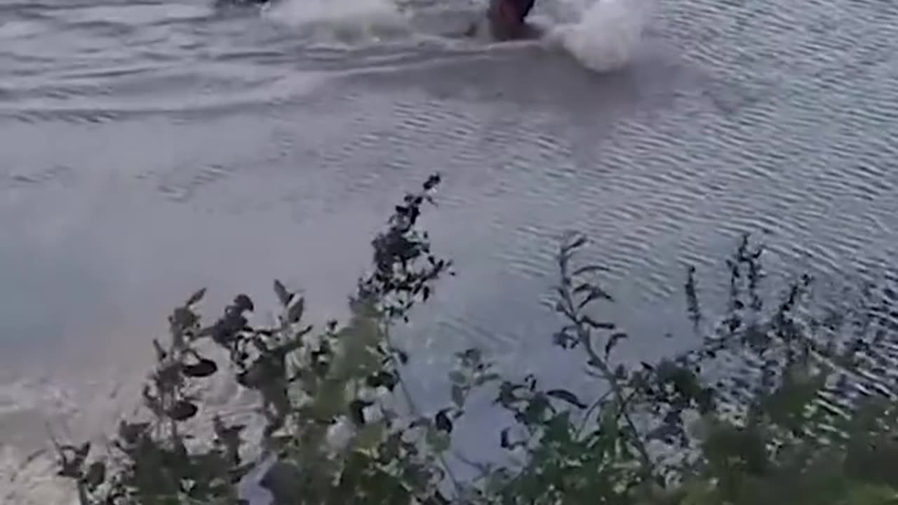 Crocodile 🐊 attacks on a man
