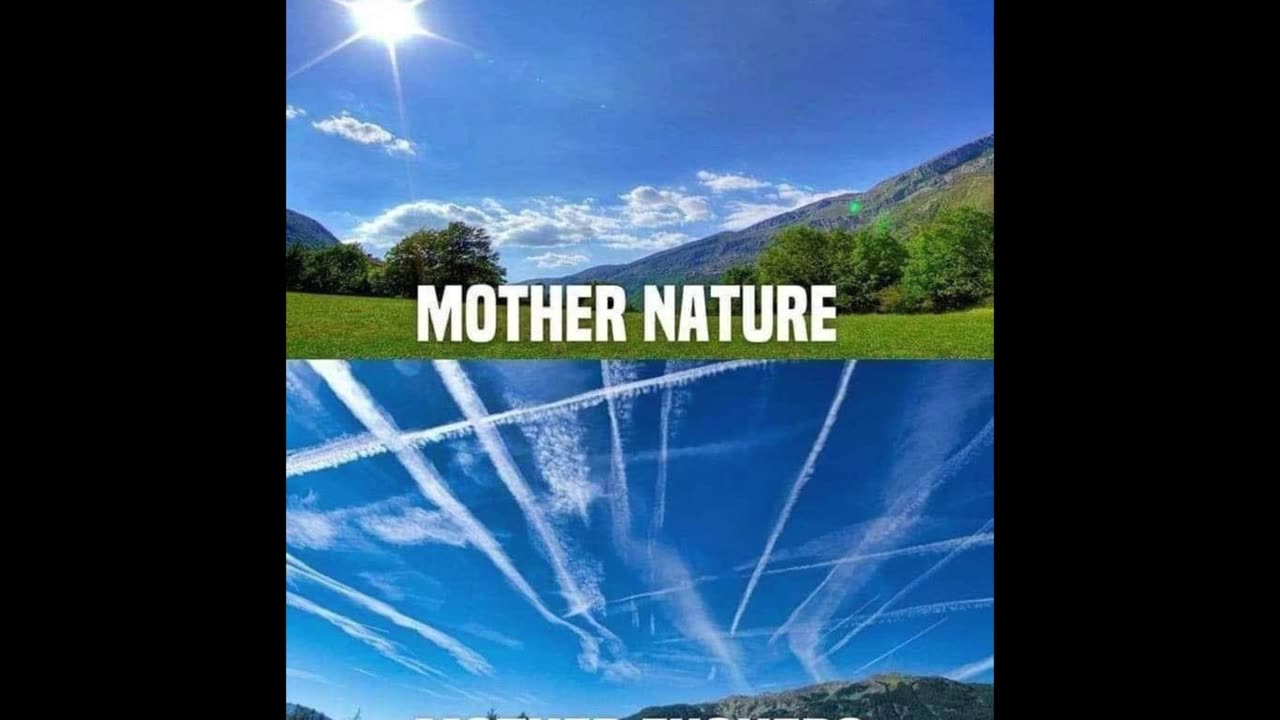 Random Memes 720