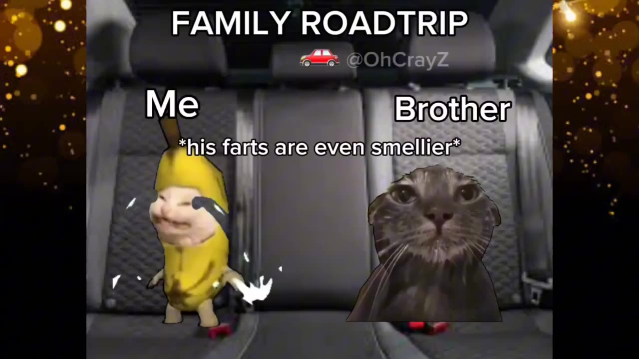 CAT MEMES: FAMILY ROADTRIP COMPILATION