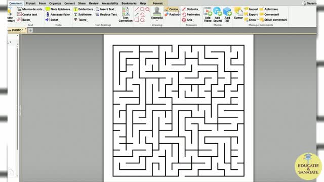 Joc labirint direct în pdf