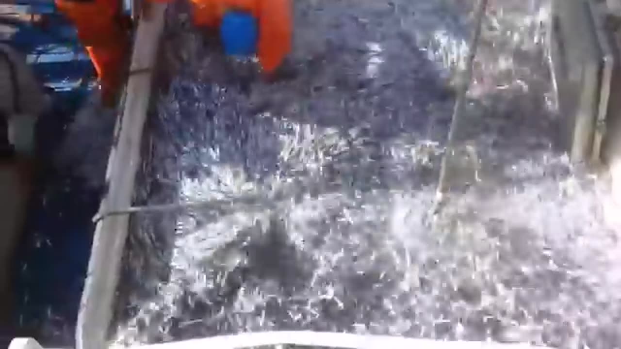 Fishermen Captures What No One Was Supposed to See