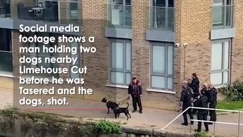 Met police in usa shoot Two Dogs and Taser mother scr