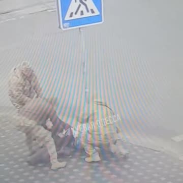 Ukraine forced enlisting