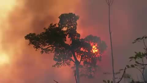 Quasi 3000 incendi sono stati segnalati nell'Amazzonia brasiliana