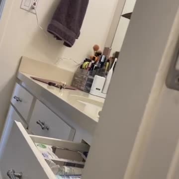 Сat in the bathroom