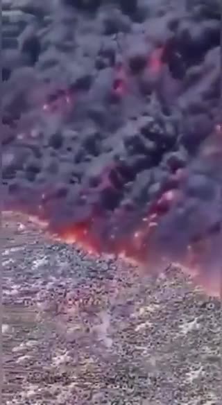 Pneus cemiterio o maior cemiterio a ceu aberto