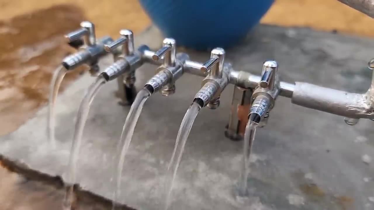 Science Project